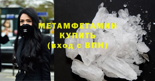 индика Аркадак