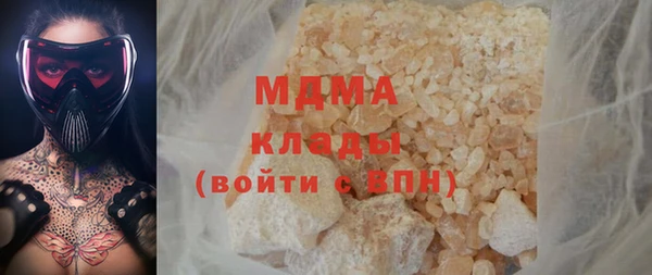 индика Аркадак