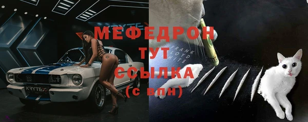 индика Аркадак