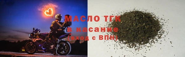 индика Аркадак