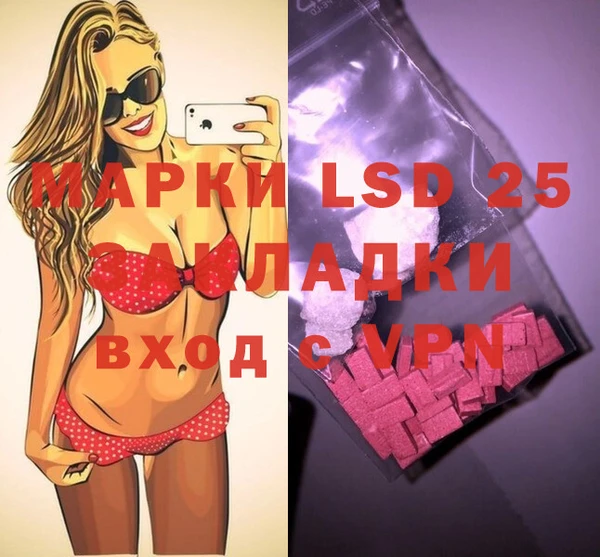 индика Аркадак