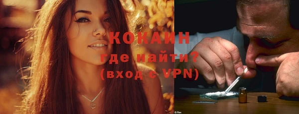 индика Аркадак